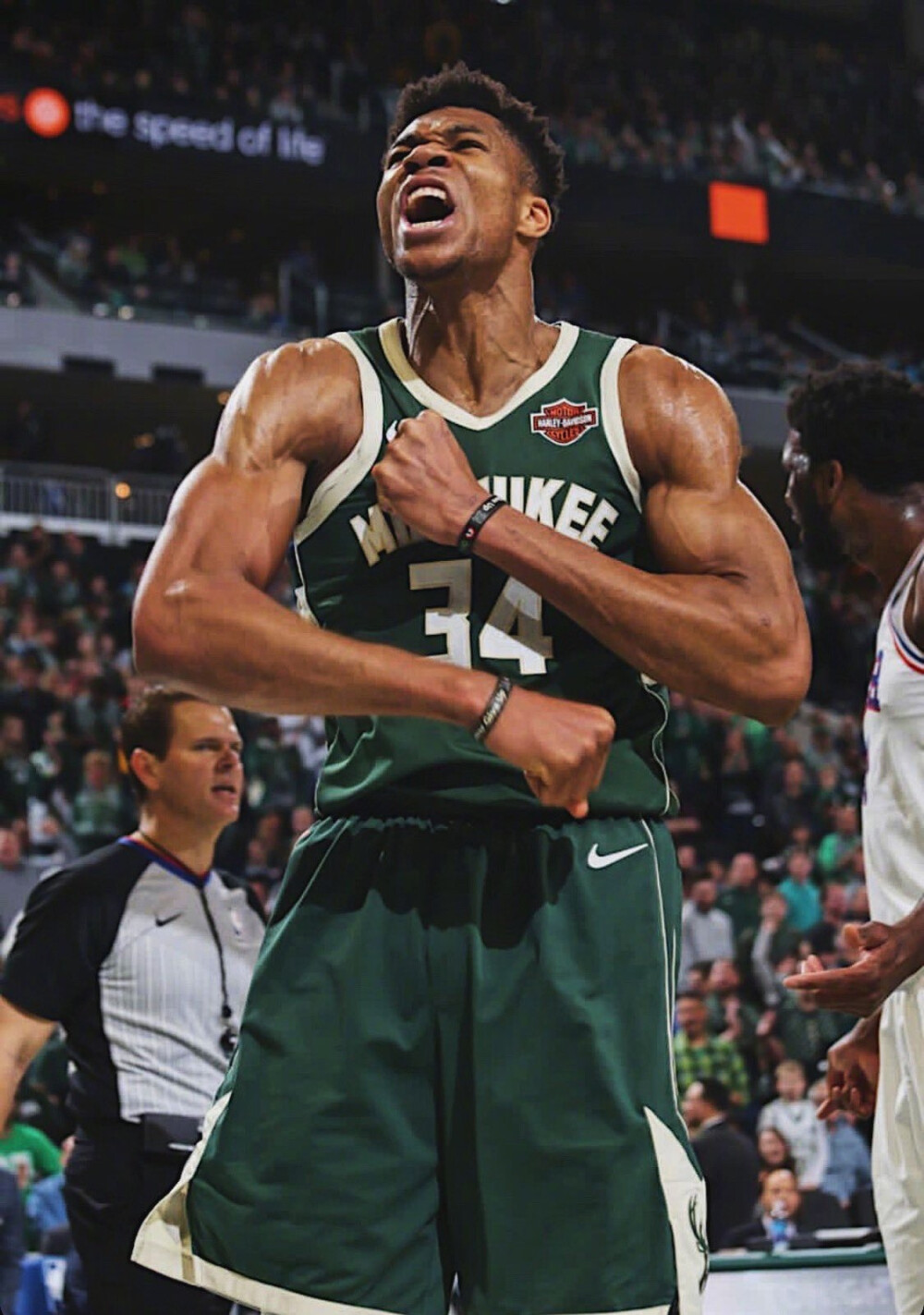 队友以训练 队友以训练